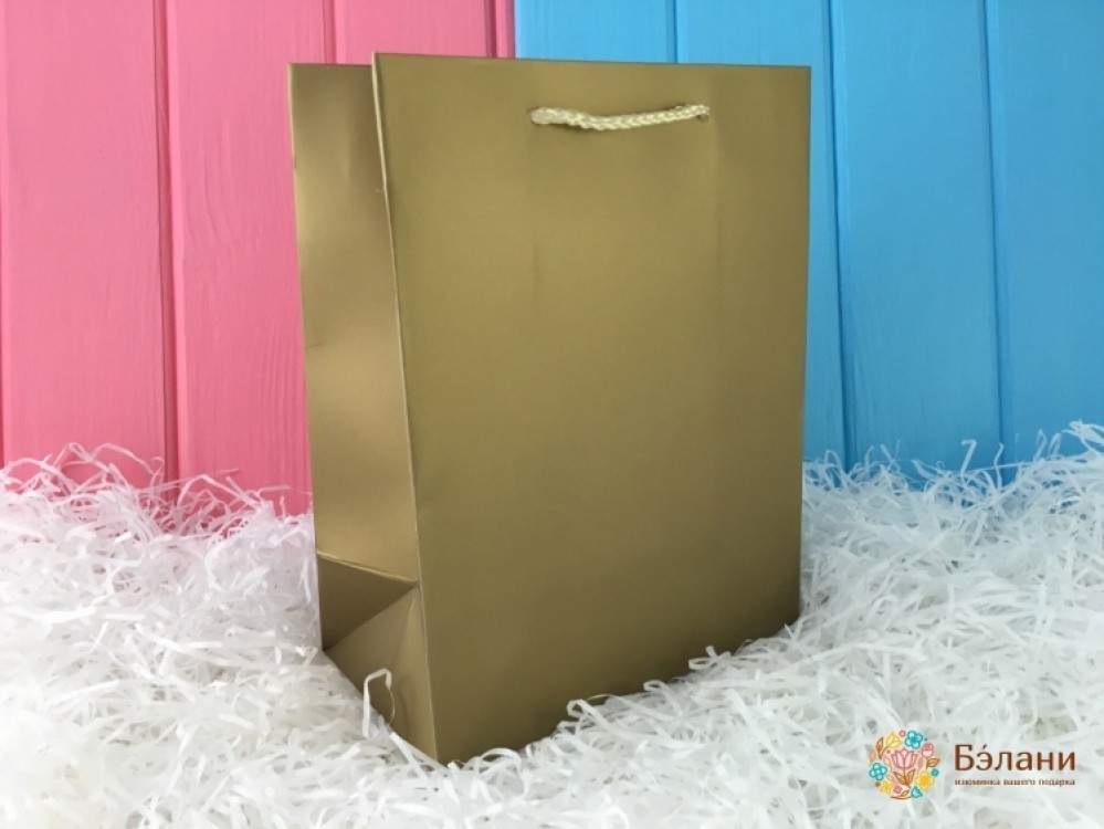 Geantă Cadou 11176 (Mic)