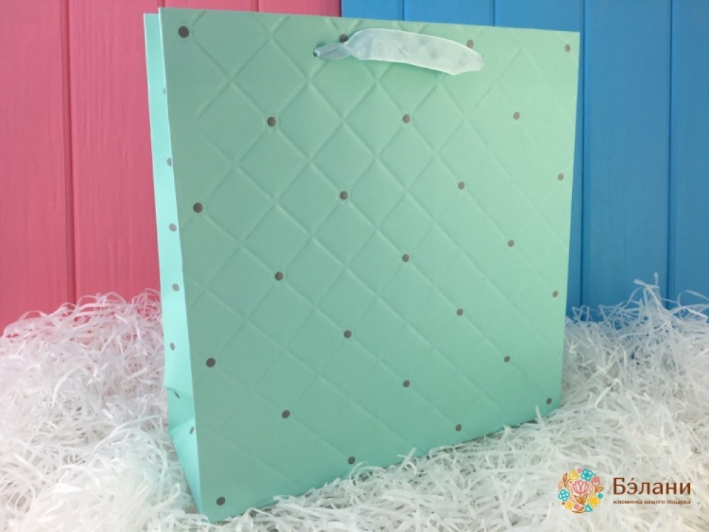 Geantă Cadou 12399 (Mediu)