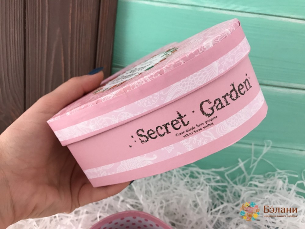 Cutie Pentru Grădinile Inimii "grădina Secretă" | 2