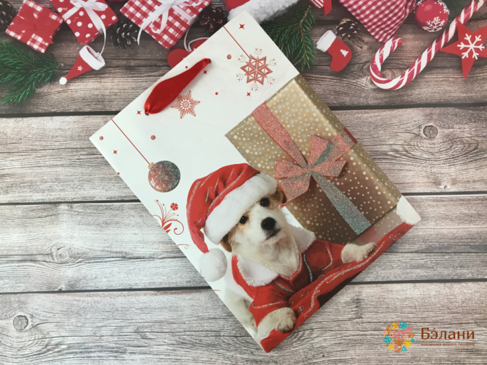 Pachetul De Anul Nou „Câini”