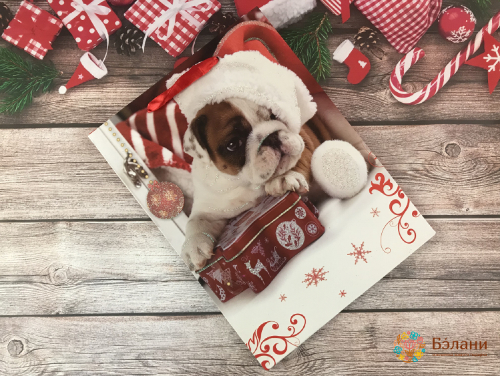 Pachetul De Anul Nou „Câini”