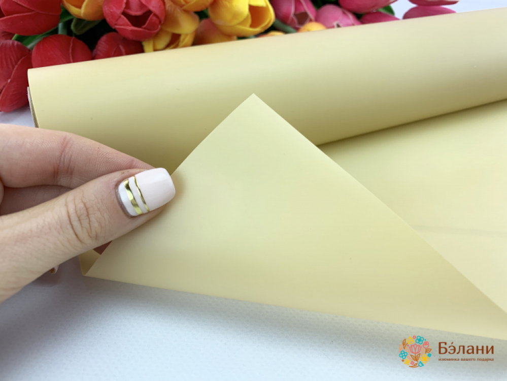 Rolă De Hârtie De Urmărire 20M / 60 Cm # 241