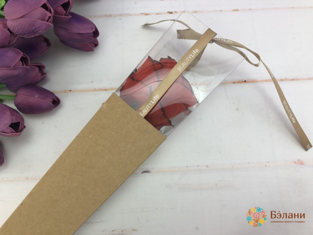 Cutie Pentru Trandafiri, Pliere (Meșteșug) | 2