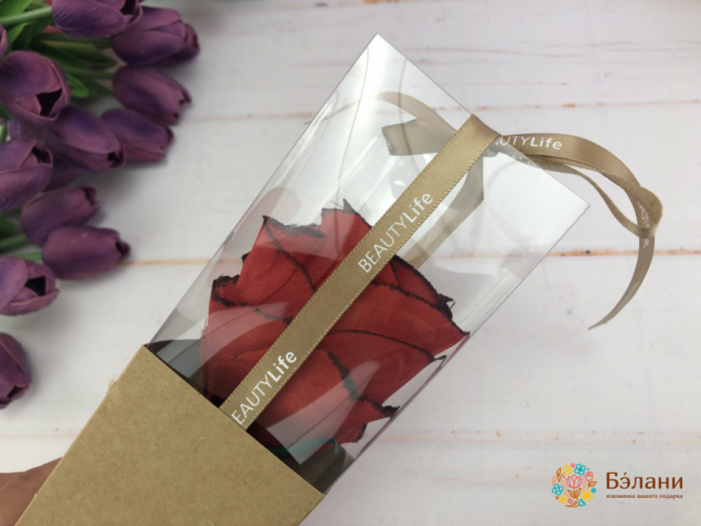 Cutie Pentru Trandafiri, Pliere (Meșteșug) | 3