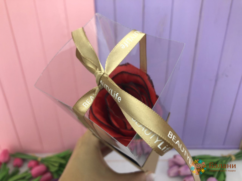 Cutie Pentru Trandafiri, Pliere (Meșteșug) | 5