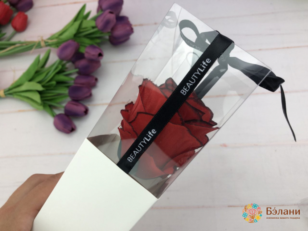 Cutie Pliante Cu Trandafir (Alb) | 3