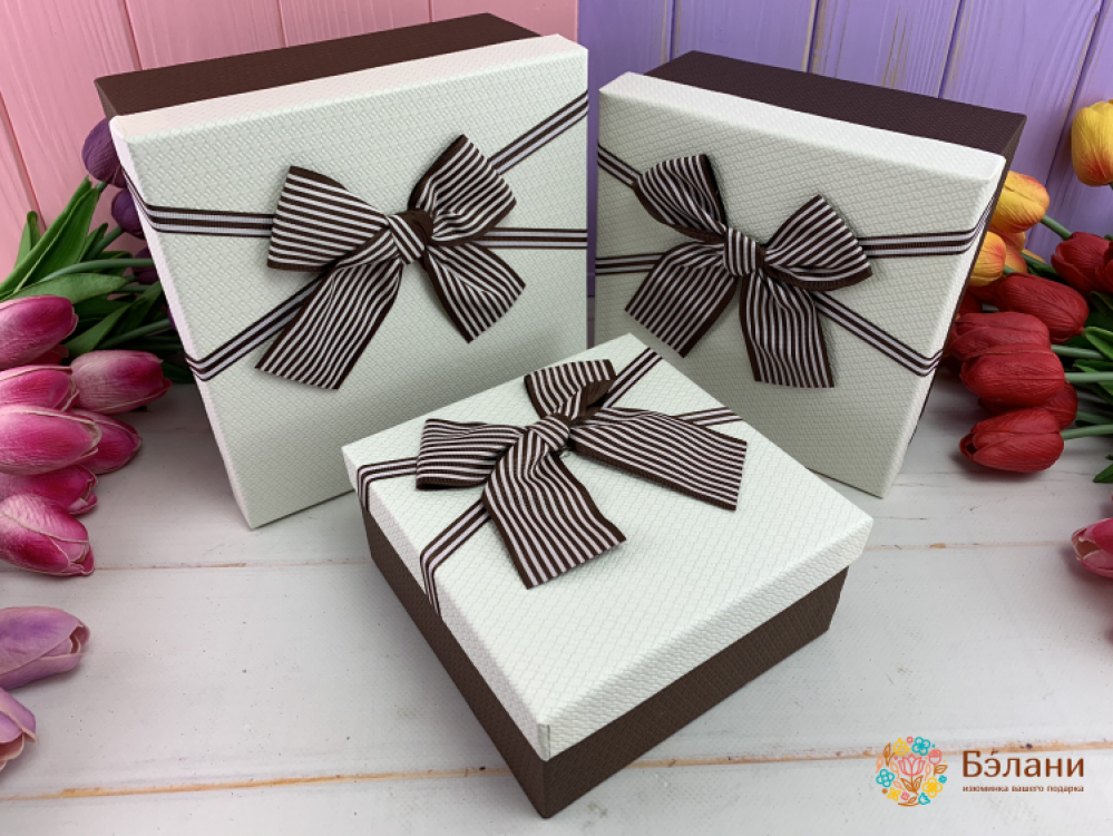 Cutie Cadou "arcul Gri" Alb