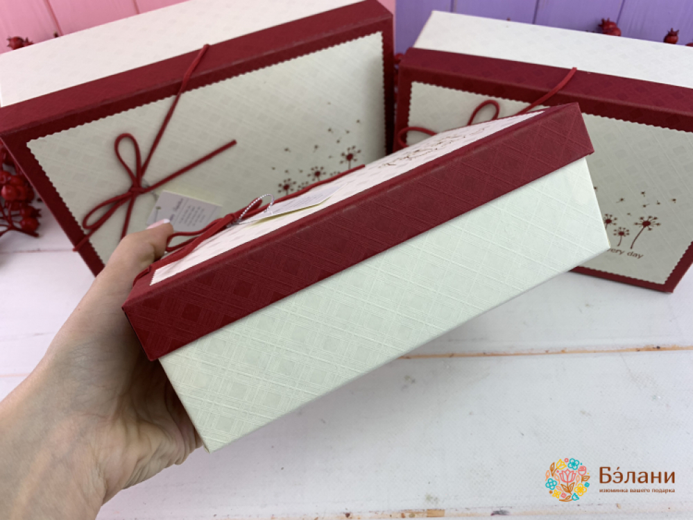 Cutie Cadou „Dandelions” Alb-Roșu | 2