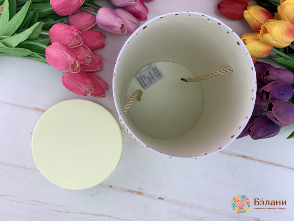 Cutie Rotundă "linii De Aur" Bej | 2