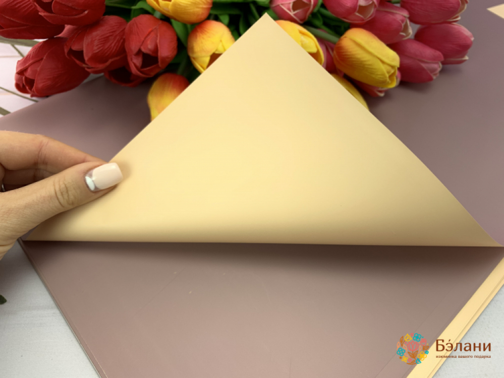 Praf De Piersică De Hârtie De Urmărire Pe Două Fețe