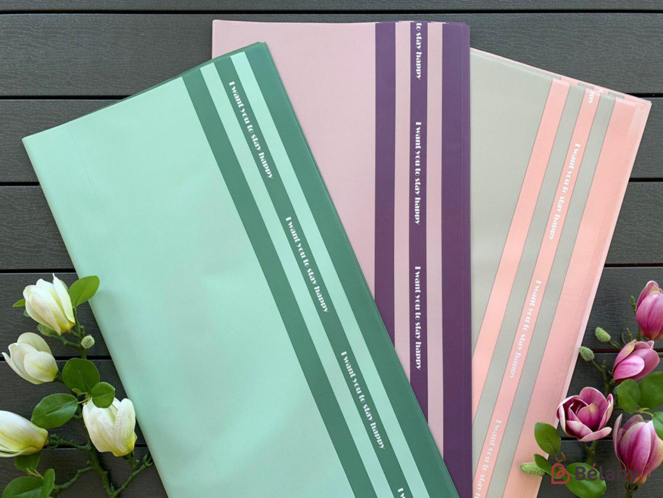 Hârtie Bilaterală De Urmărire