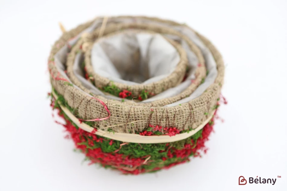 Set Ghivece Rotunde „Pădure” Roșu