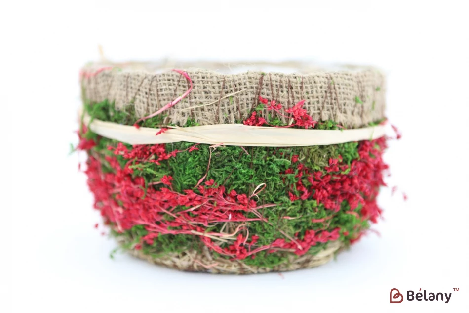 Set Ghivece Rotunde „Pădure” Roșu | 2