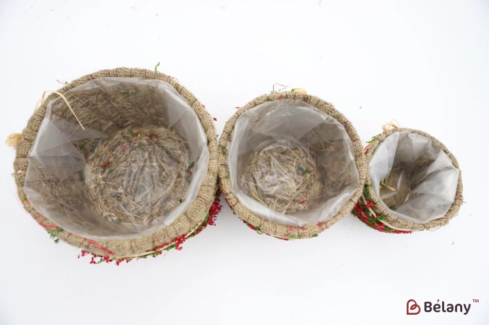 Set Ghivece Rotunde „Pădure” Roșu | 4