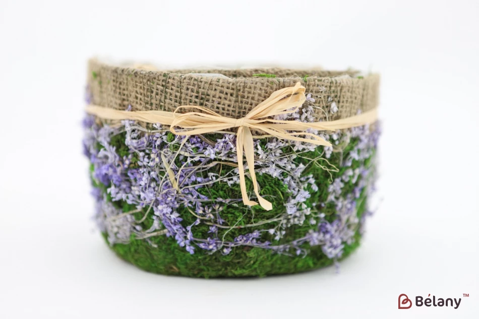 Set Ghivece De Flori „Pădure” Cu Pânză Mov | 2