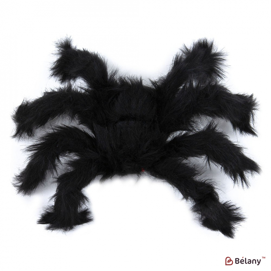 Păianjen Decorativ Xl | 2