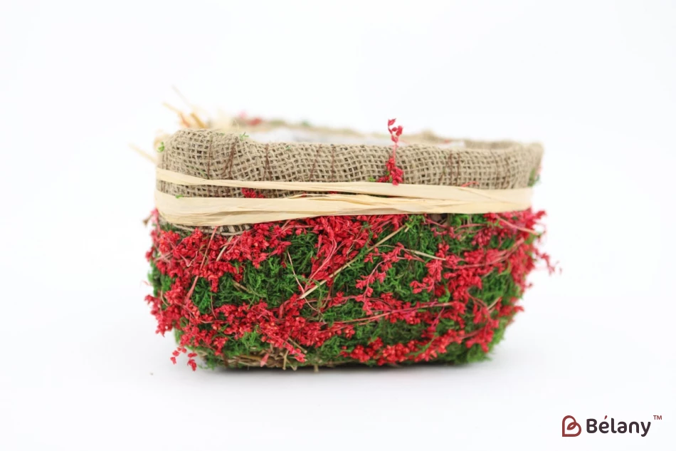 Set Ghivece În Formă De Inimă „Pădure” Roșu