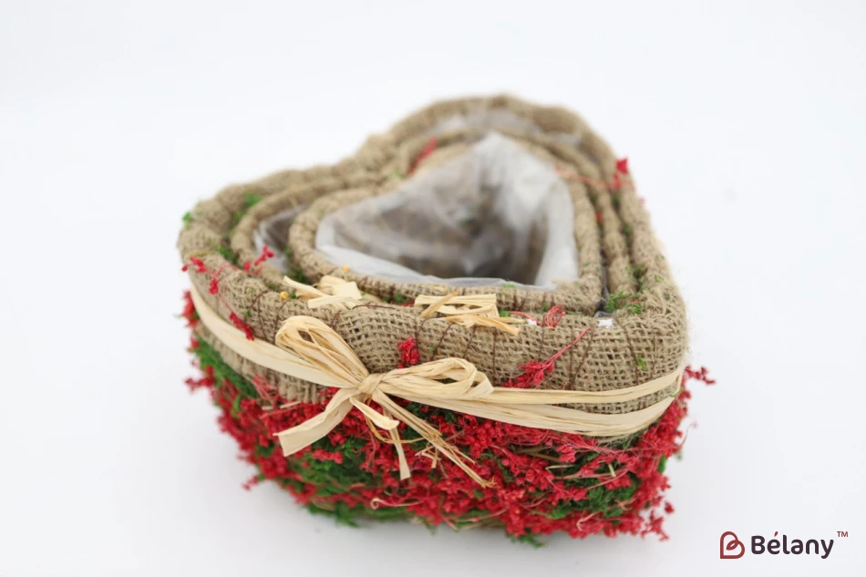 Set Ghivece În Formă De Inimă „Pădure” Roșu | 2