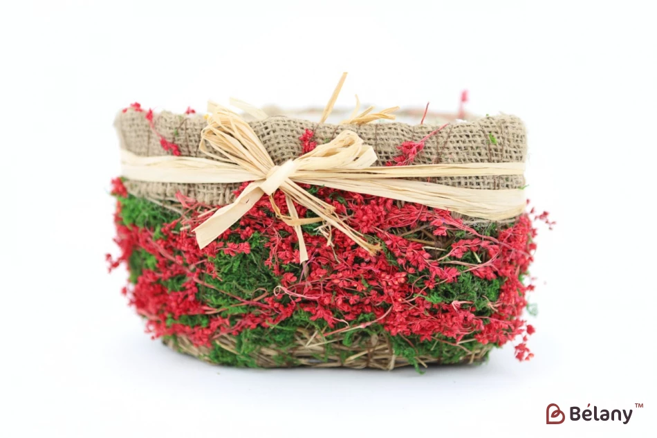 Set Ghivece În Formă De Inimă „Pădure” Roșu | 3