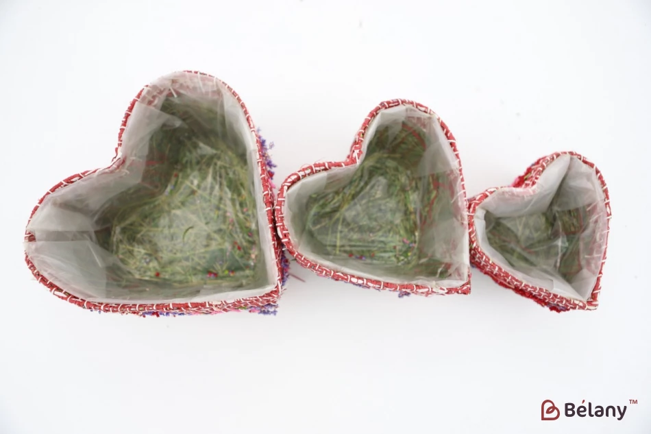 Set Ghivece Cu Flori Uscate In Forma De Inima, Roz-Rosu | 2