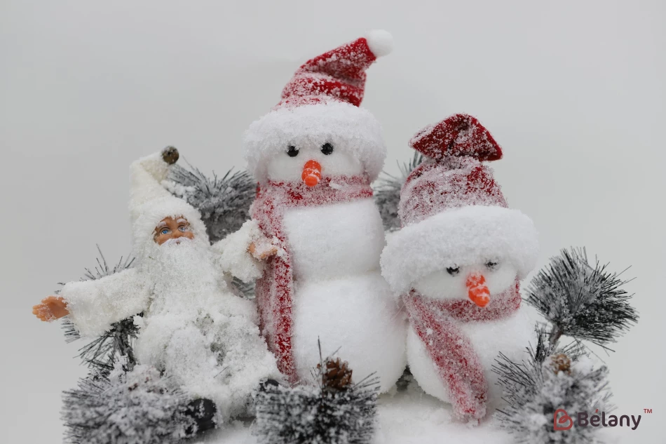 Doi Oameni De Zăpadă Și Moș Crăciun | 2