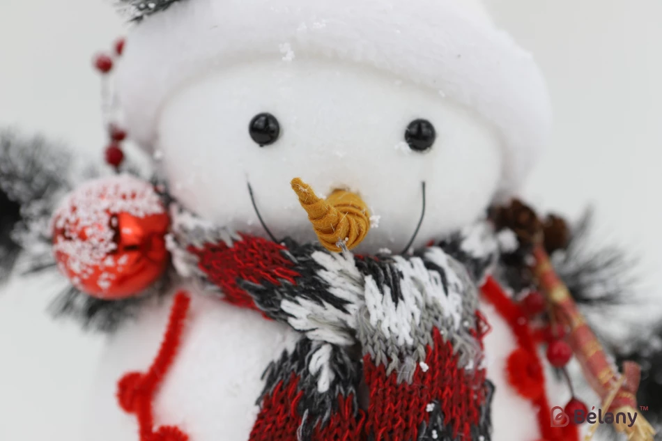 Om De Zăpadă Într-O Pălărie „Om De Zăpadă”. | 2