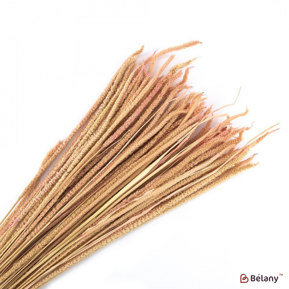 Floare Uscată „03”