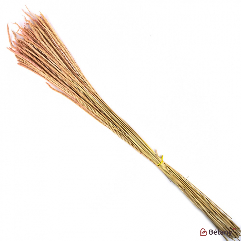 Floare Uscată „03” | 2