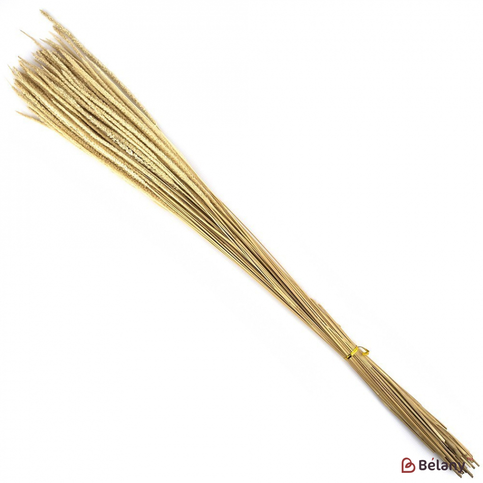 Floare Uscată „07” | 2