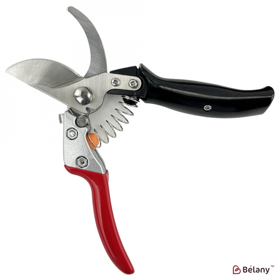 Секатор професиональный "Royalty" красный | 2