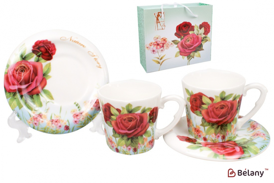 Фарфоровый кофейный набор 90 мл( 2 чашки с блюдцами) "Elina"