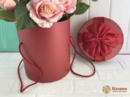 Cutie Rotundă Cu Mânere (Roșu)