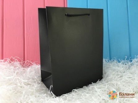 Geantă Cadou 11172 (Mic)