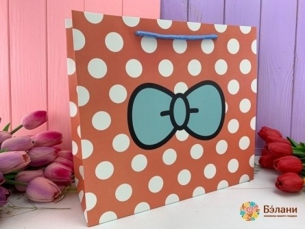 Pachet Cadou „Mickey” Roz S
