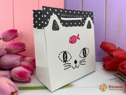 Pachet Cadou "cat" Xs