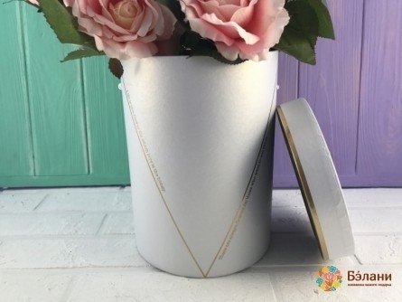 Caseta Cu Palarie Alba "v"