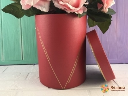 Caseta Cu Palarie Rosie "v"