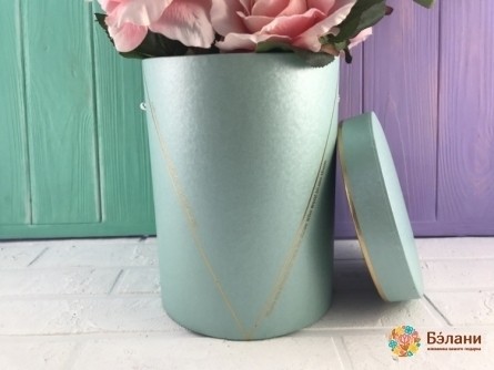 Caseta Cu Palarie Albastra "v"