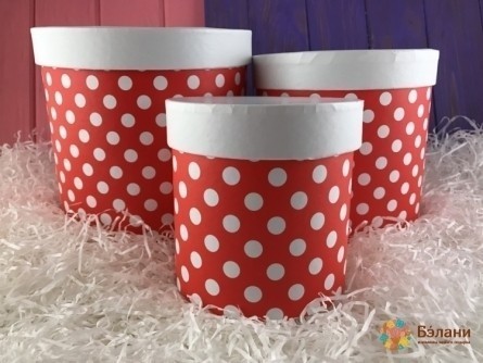 Cutie Cu Pălării Roșii "mazăre"