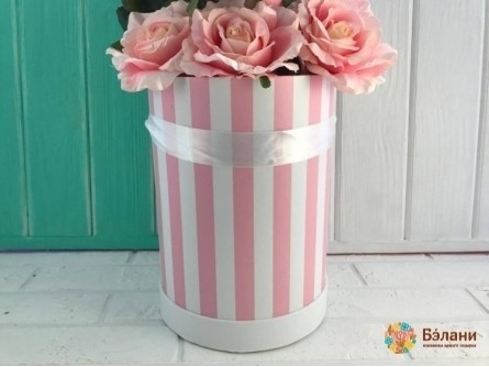 Caseta Cu Palarie Roz "dungi"