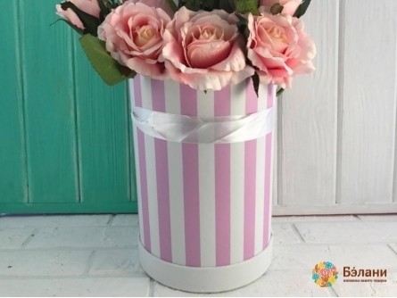 Caseta Cu Pălării De Zmeură "fâșii"