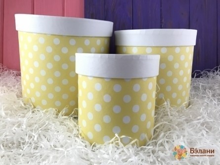 Cutie De Pălărie Galbenă „Mazăre”