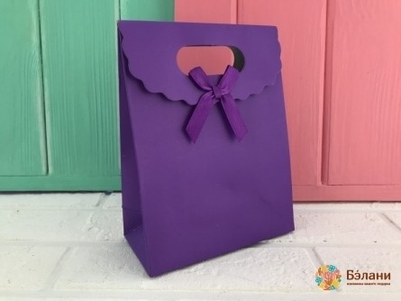 Geantă Velcro "culoare" Lila S