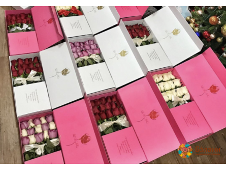 Carcasă Pliabilă (Culori: Roșu / Roșu)