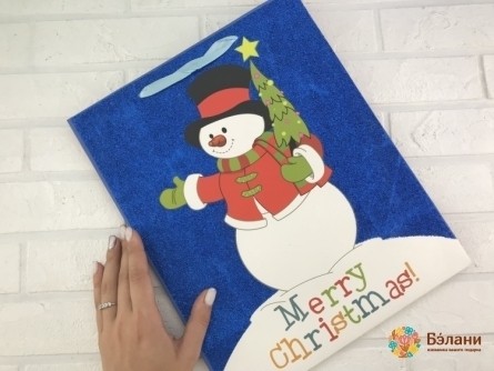 Pachetul De Anul Nou „Crăciun Fericit” L Albastru