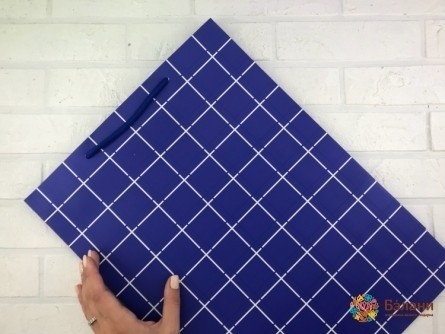 Pachetul „Celulă” Albastră (L)