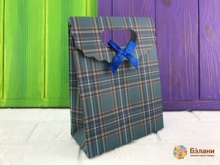 Geantă Pe O Hârtie Fly "cage" Verde Xs