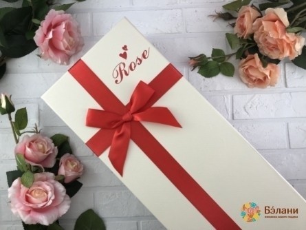 "carcasă Pentru Flori Cu Arc" Alb