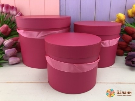 Cutie De Flori Zmeură „Strălucire”