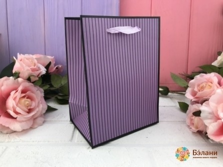 Geantă Cadou „Stylish Strip” Violet Xs